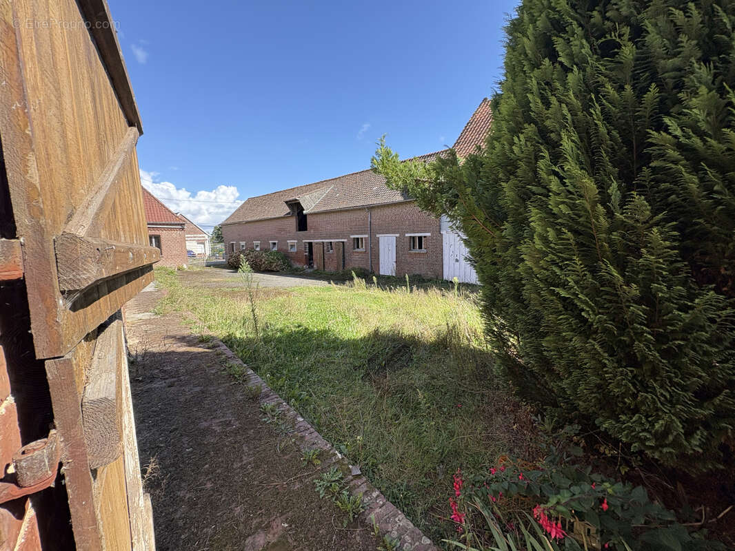 Maison à AVESNES-LE-COMTE