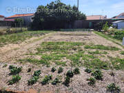 Terrain à SAINT-HILAIRE-DE-RIEZ