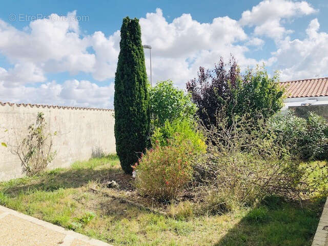 Maison à SALLES-SUR-MER