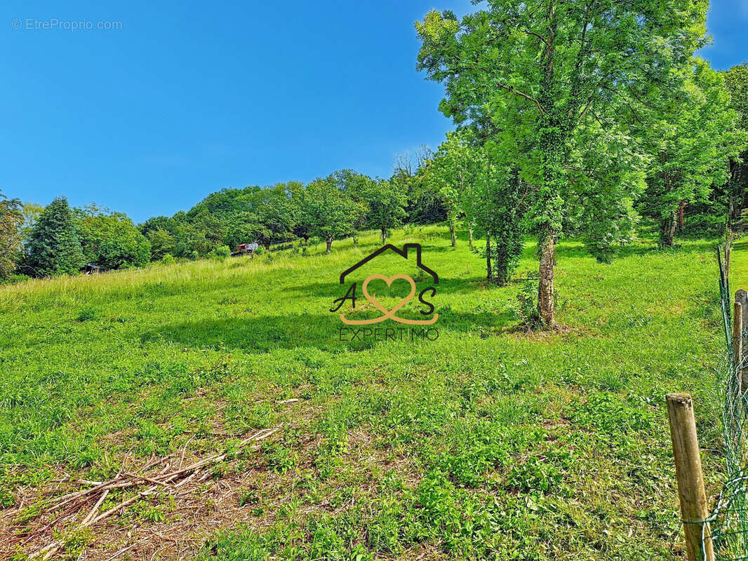 Terrain à SAINT-GEORGES-SUR-ALLIER