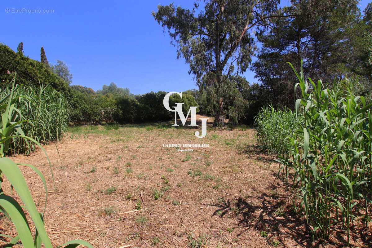Terrain à FREJUS