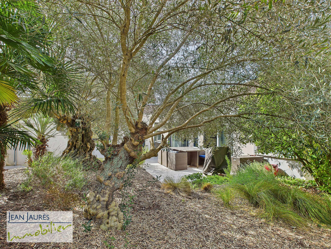 Autre à SAINTE-SAVINE