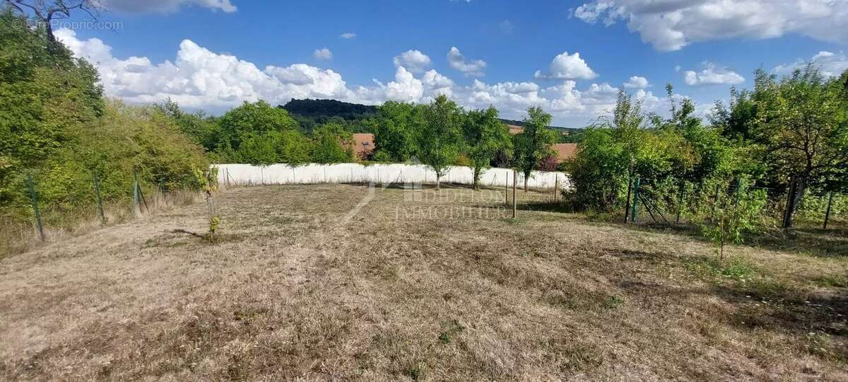 Terrain à JEZAINVILLE