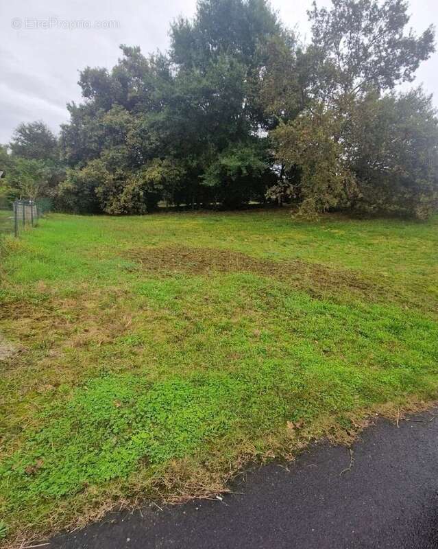 Terrain à YCHOUX