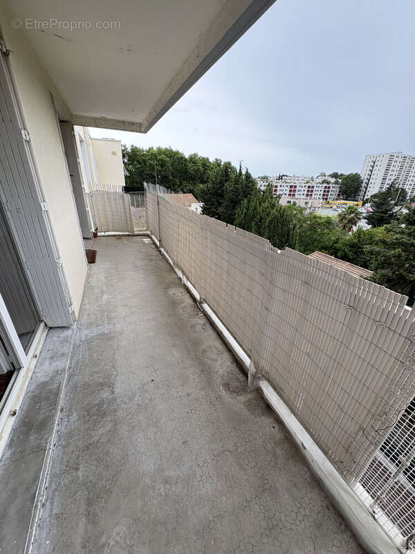 Photo 2 - Appartement à MONTPELLIER