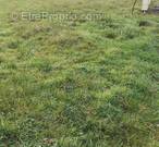 Terrain à LA PLAINE-SUR-MER