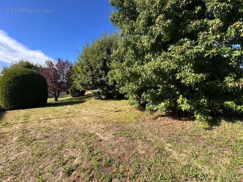 Terrain à CRUSEILLES