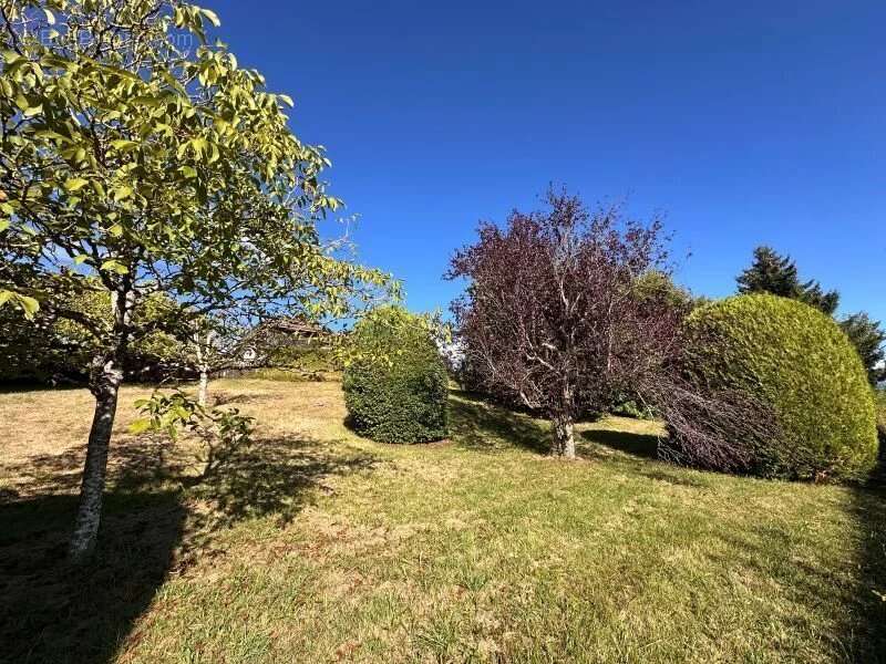 Terrain à CRUSEILLES