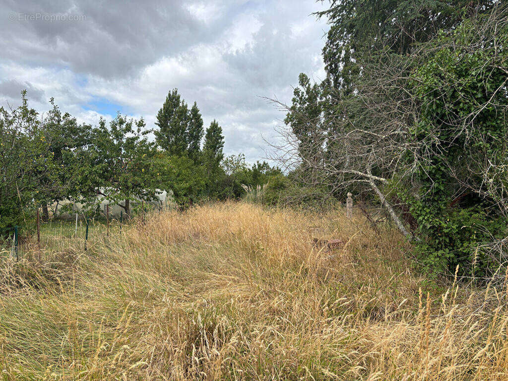 Maison à LE POINCONNET