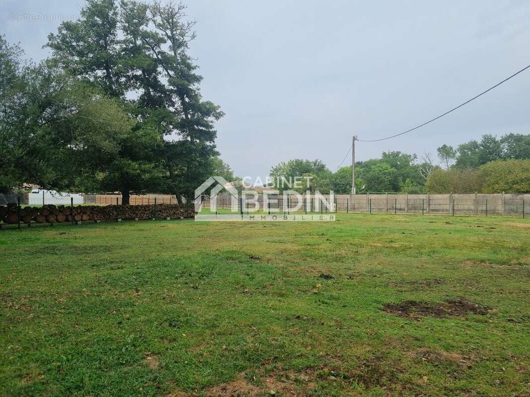 Terrain à LA TESTE-DE-BUCH