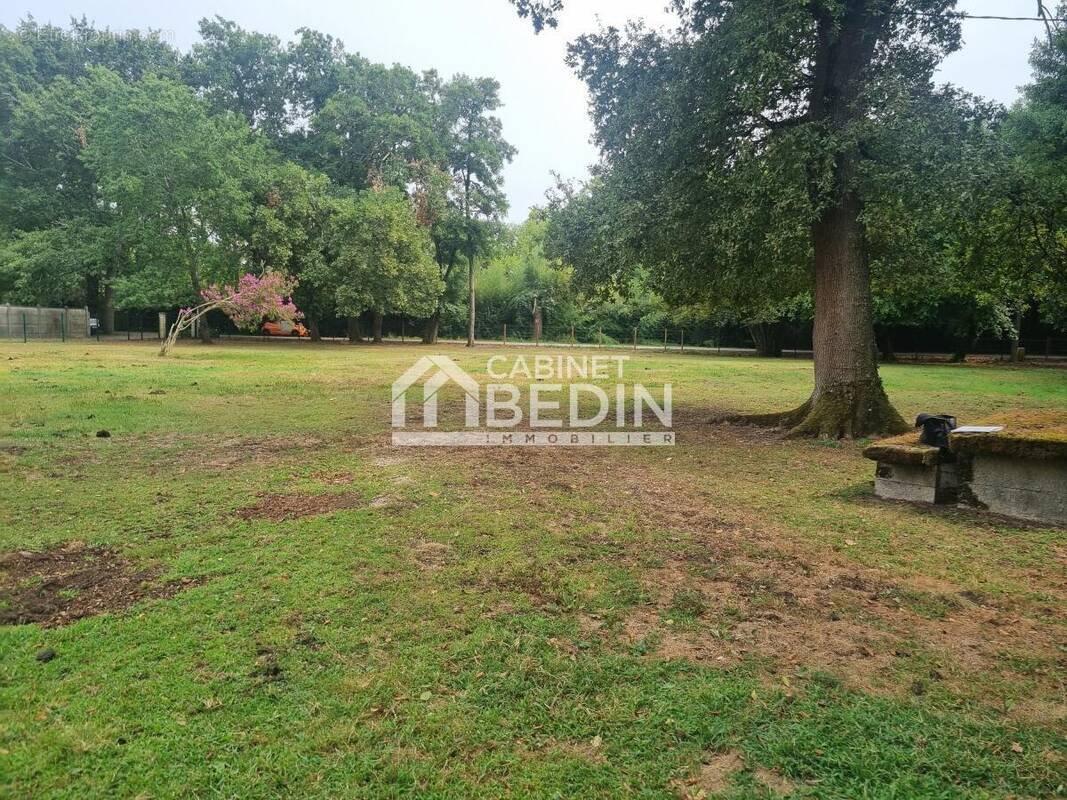 Terrain à LA TESTE-DE-BUCH