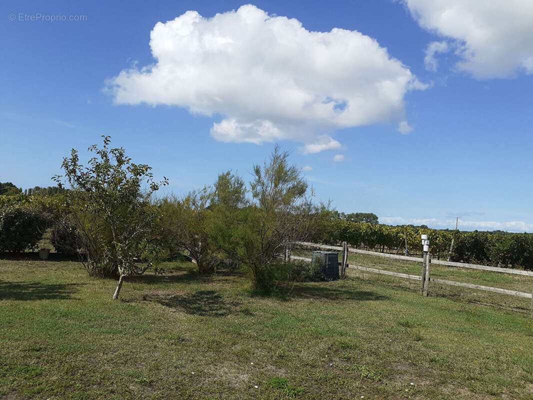 Maison à SAINT-PIERRE-D&#039;OLERON