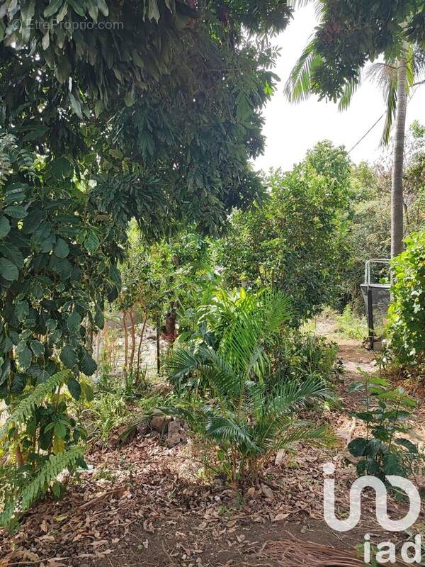 Photo 1 - Terrain à SAINT-PAUL