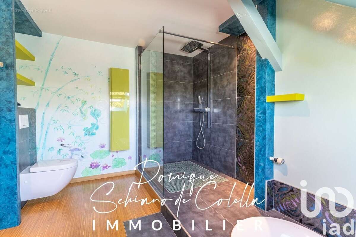 Photo 9 - Maison à CHAVANNE