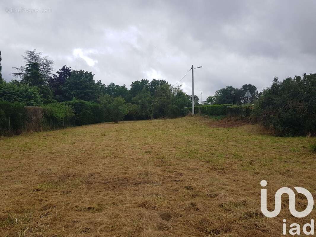 Photo 3 - Terrain à LARZICOURT