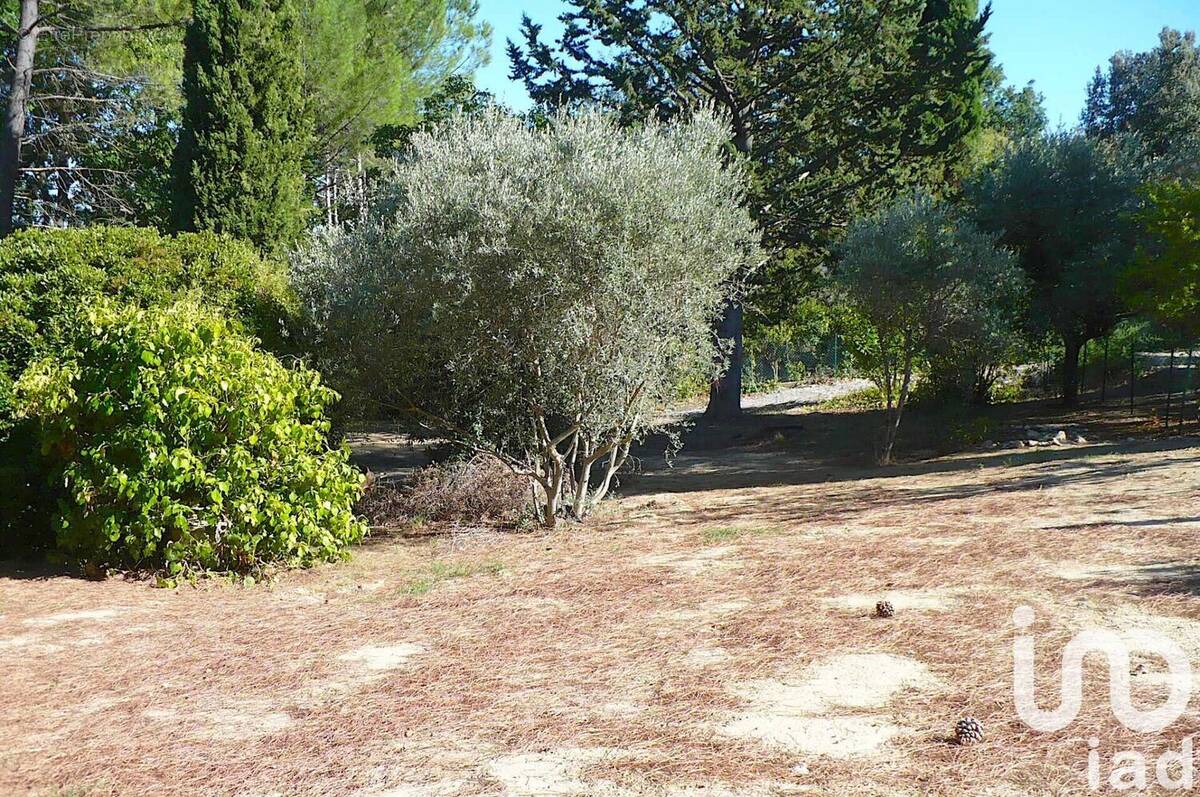 Photo 1 - Terrain à PIERREVERT