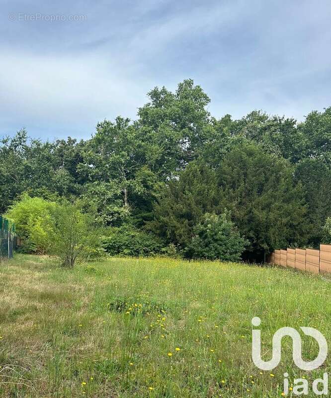 Photo 2 - Terrain à VILLENAVE-D&#039;ORNON
