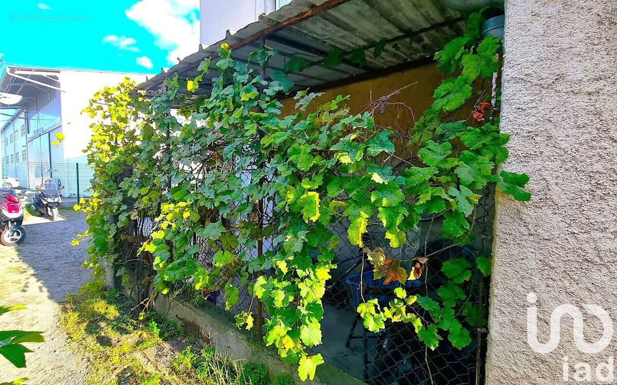 Photo 7 - Maison à TOULOUSE