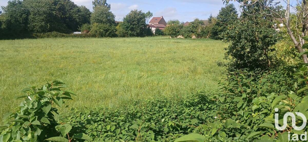 Photo 2 - Terrain à CONDE-SUR-L&#039;ESCAUT