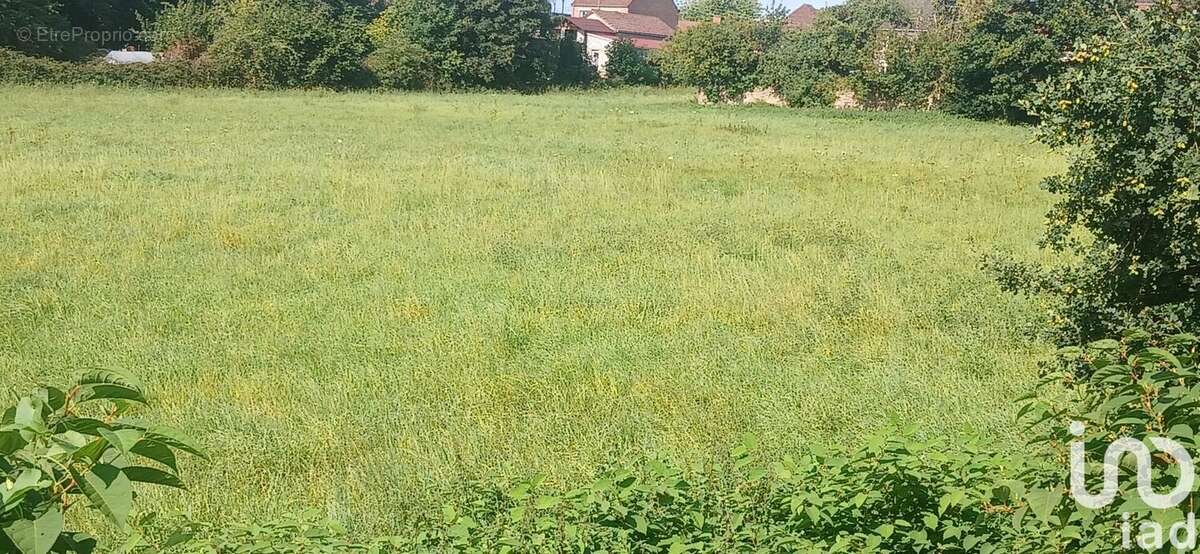 Photo 6 - Terrain à CONDE-SUR-L&#039;ESCAUT