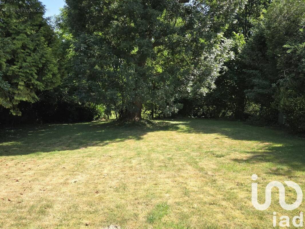 Photo 1 - Terrain à DAMMARTIN-EN-GOELE