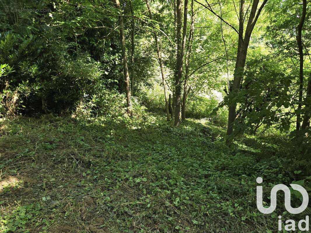 Photo 2 - Terrain à DAMMARTIN-EN-GOELE