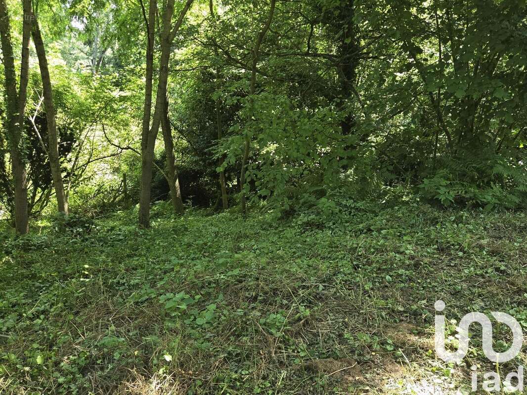 Photo 3 - Terrain à DAMMARTIN-EN-GOELE