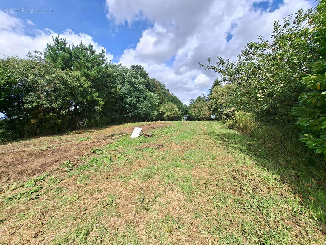 Terrain à PLOUGONVEN