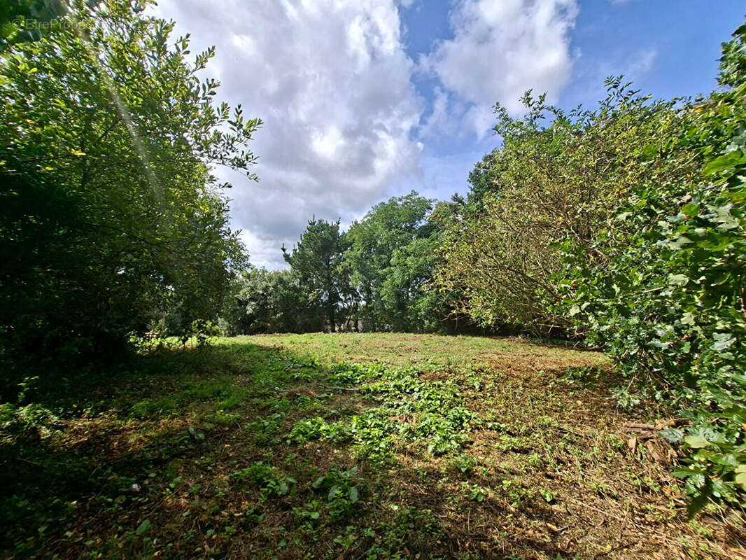 Terrain à PLOUGONVEN