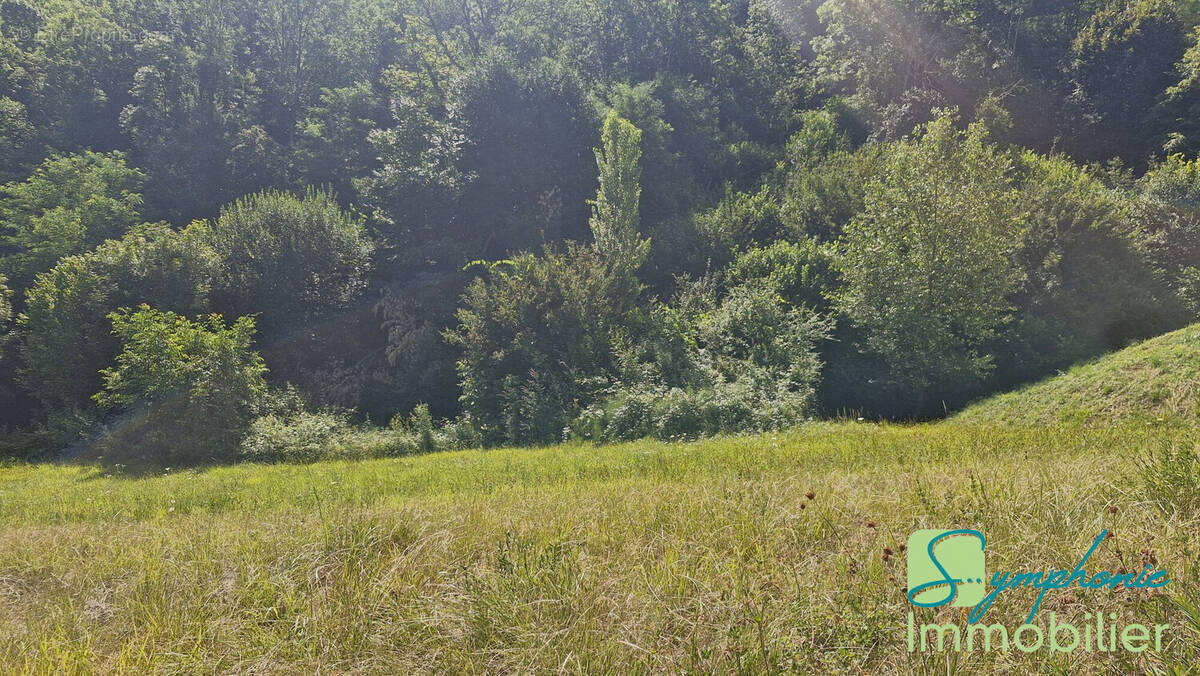 Terrain à LES MOLLETTES