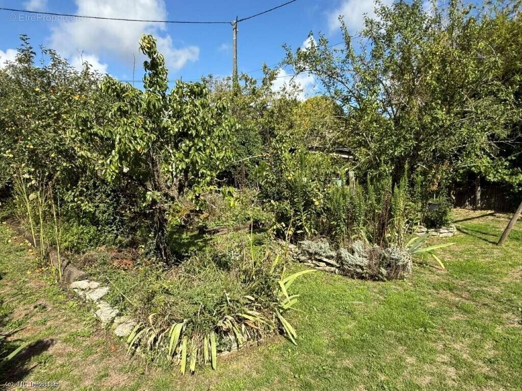 Maison à VERTEUIL-SUR-CHARENTE