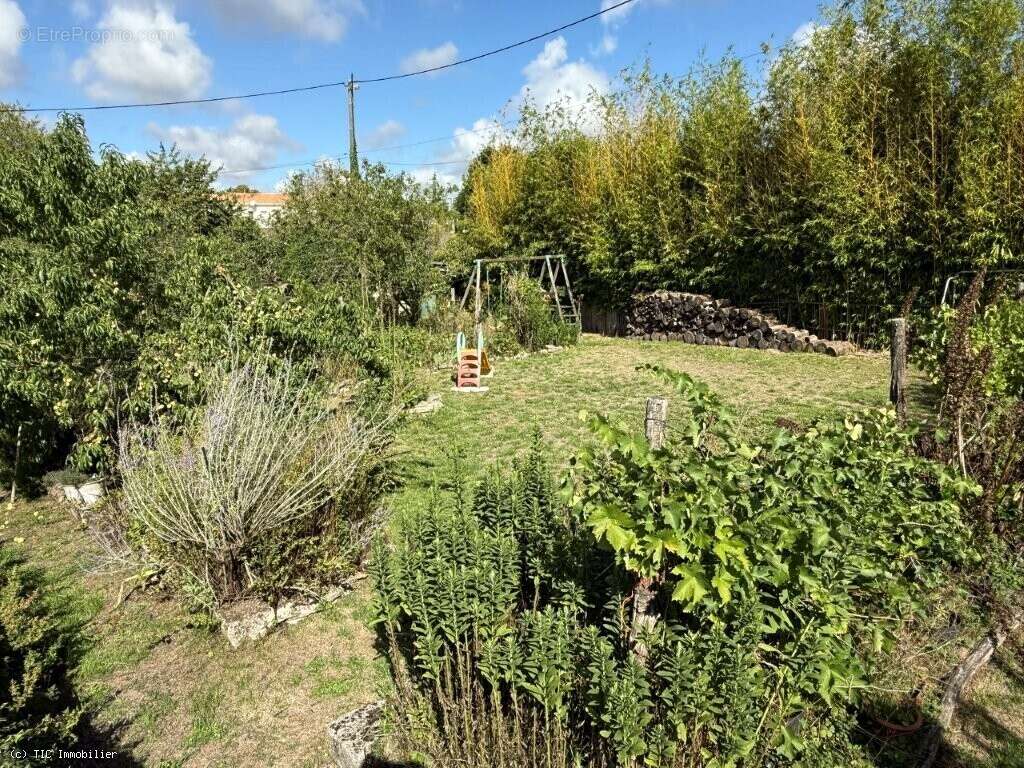 Maison à VERTEUIL-SUR-CHARENTE