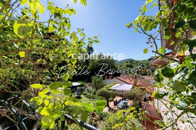 Maison à SAINT-LAURENT-DE-CERDANS