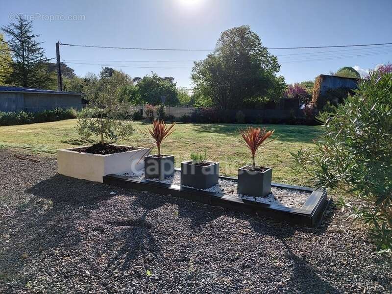 Maison à SAINT-JULIEN-L&#039;ARS