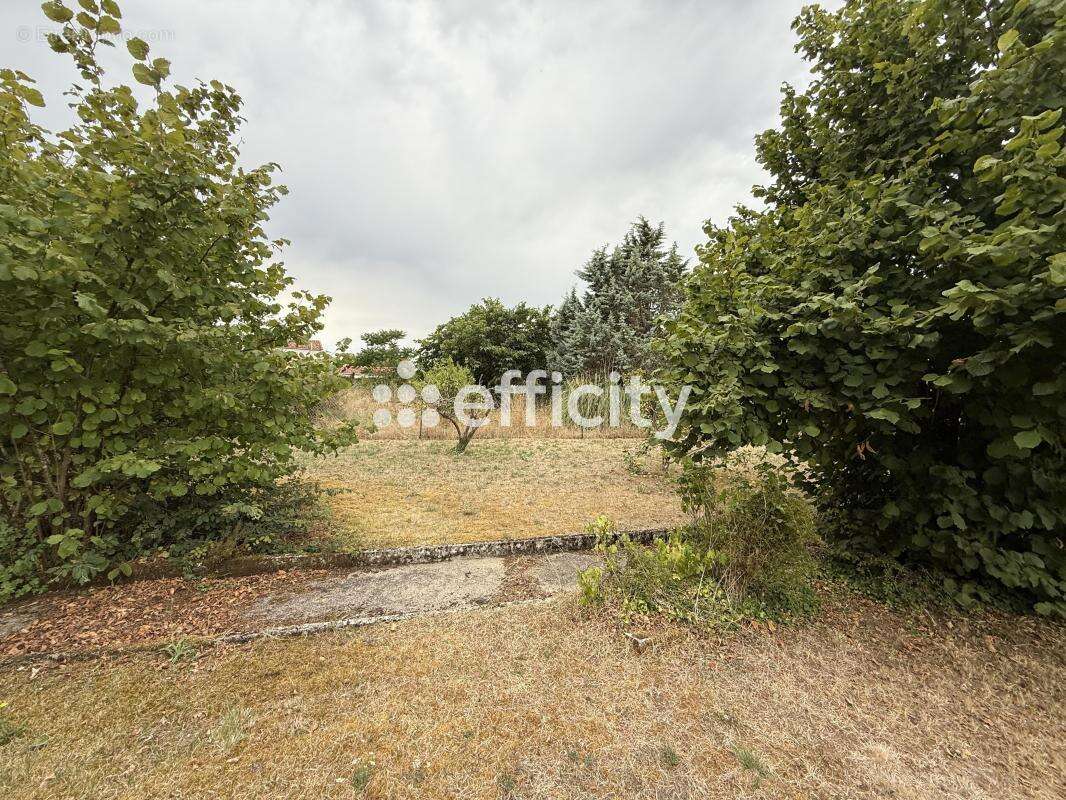 Maison à SALLES-DE-VILLEFAGNAN