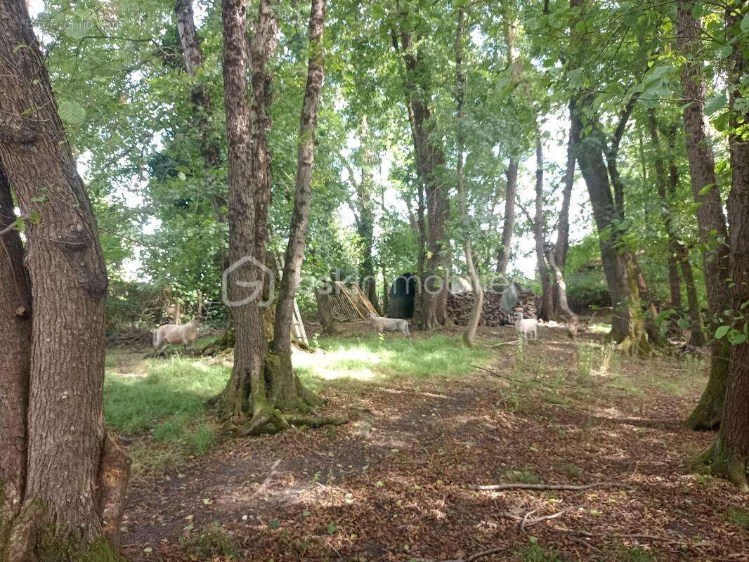 Maison à SAINT-DENIS-DE-PILE