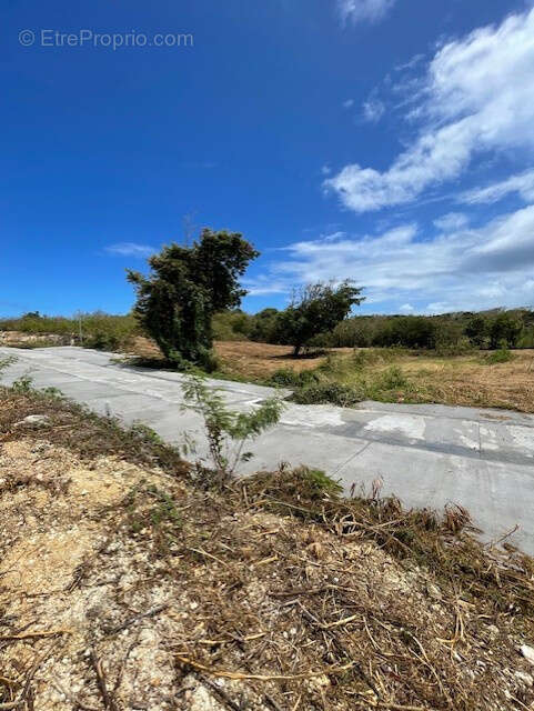Terrain à PETIT-CANAL
