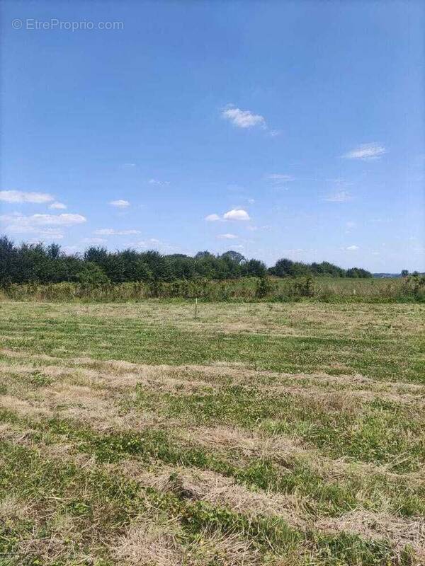 Terrain à HOUPPEVILLE