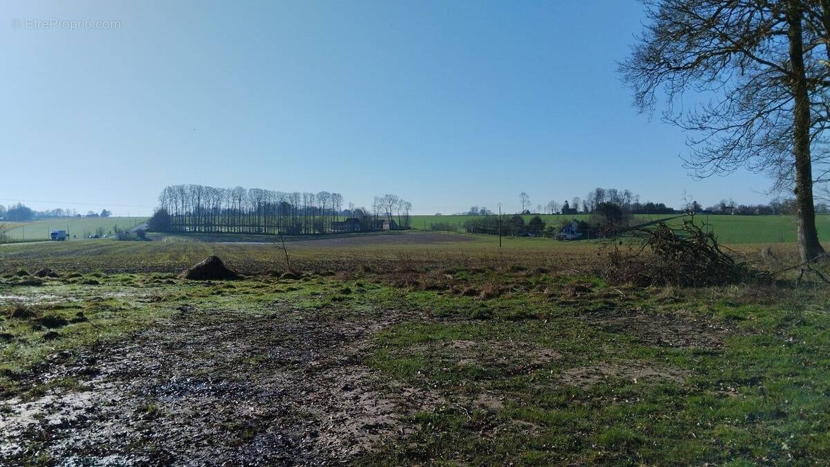 Terrain à TORCY-LE-PETIT