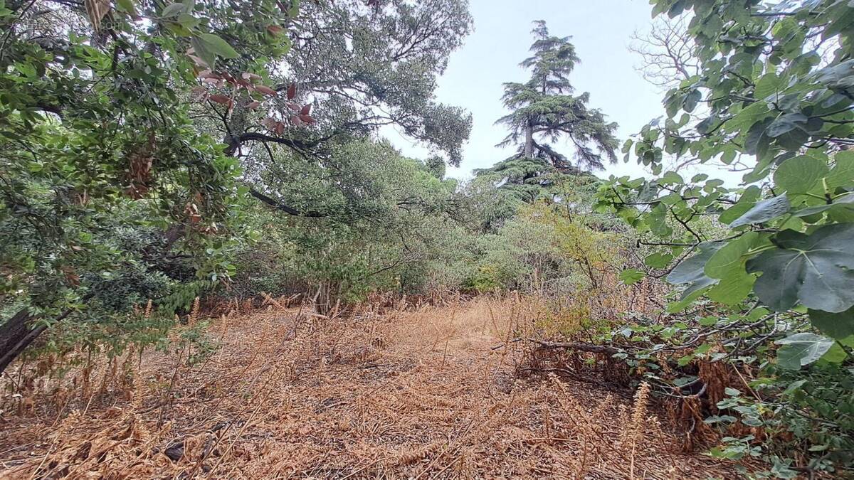 Maison à MARSEILLE-8E