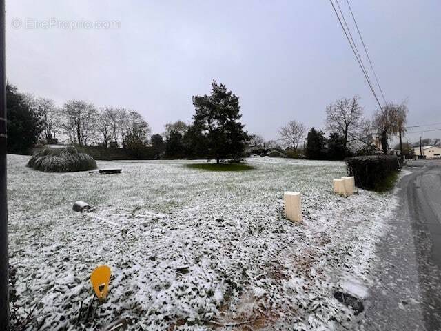 Terrain à COULANGES-LES-NEVERS
