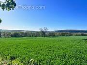 Terrain à MONTIGNY-AUX-AMOGNES