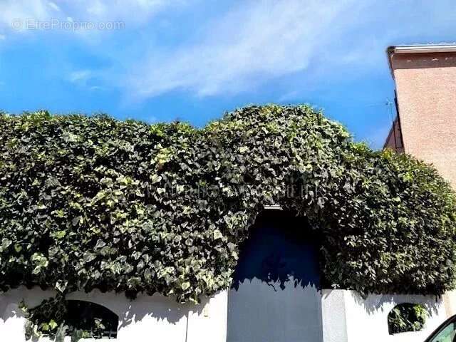 Maison à LUNEL-VIEL