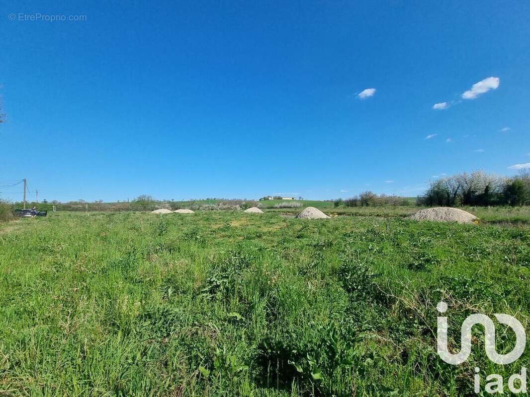 Photo 5 - Terrain à VILLEFRANCHE-D&#039;ALBIGEOIS