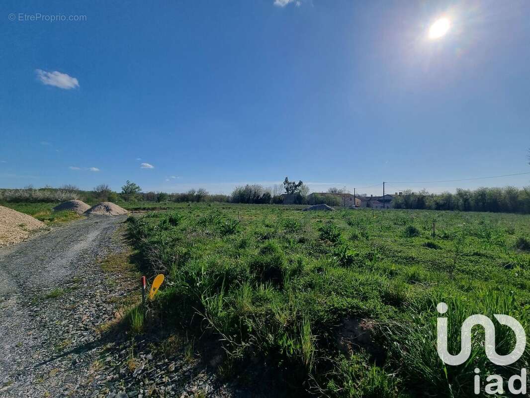 Photo 7 - Terrain à SAINT-JUERY