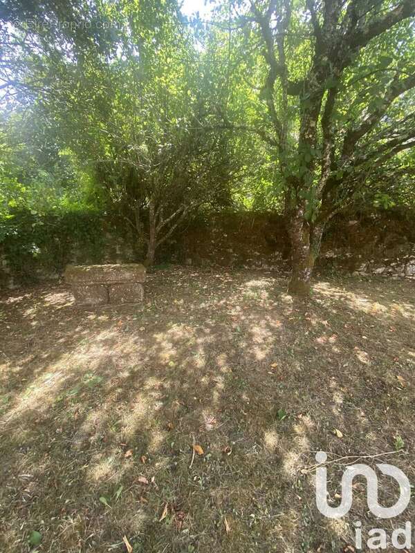 Photo 3 - Maison à SAINT-CYBRANET