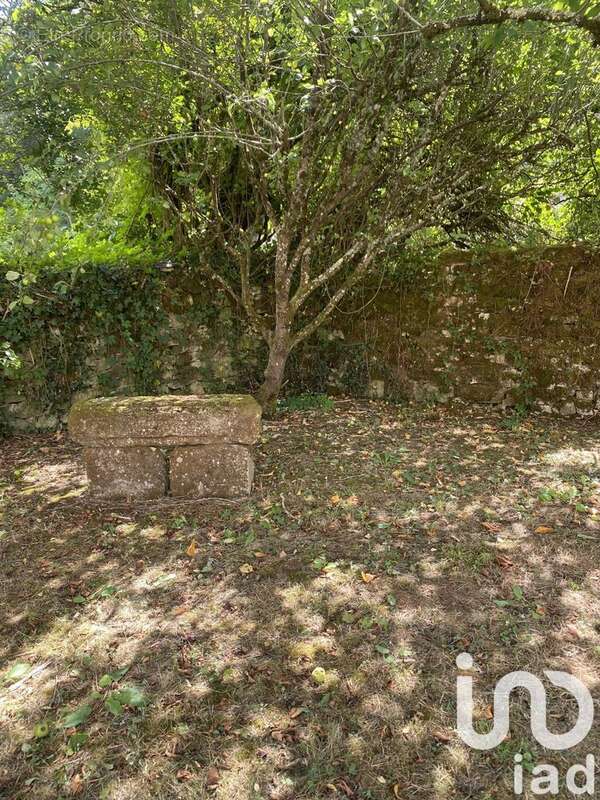 Photo 4 - Maison à SAINT-CYBRANET