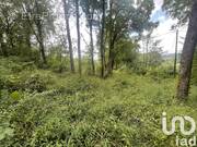 Photo 1 - Terrain à TERRASSON-LAVILLEDIEU