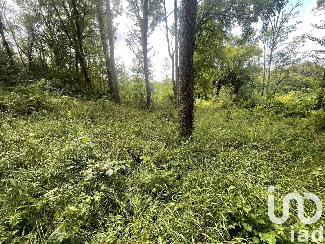 Photo 3 - Terrain à TERRASSON-LAVILLEDIEU