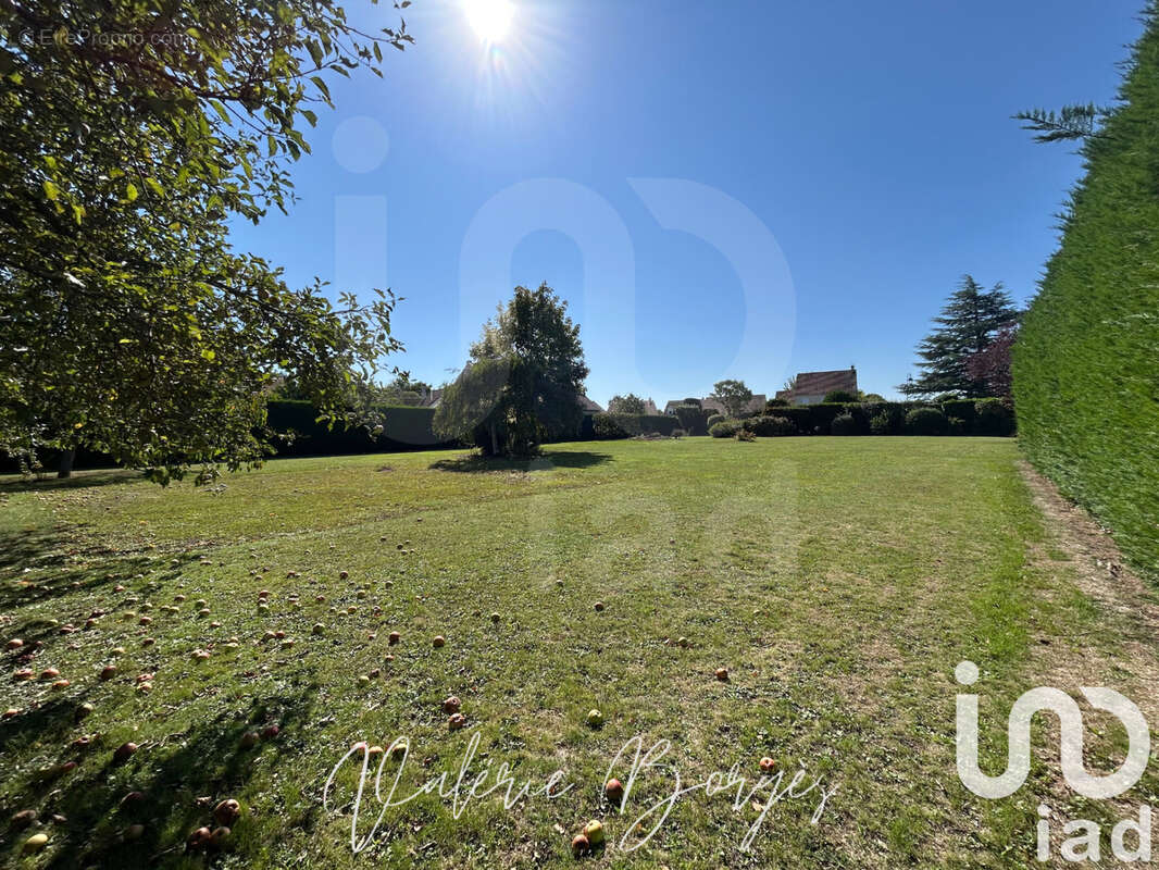 Photo 4 - Terrain à COULOMMIERS